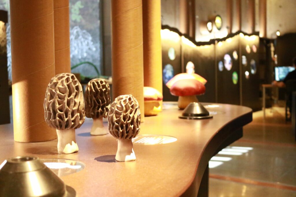 Proyecto especial a medida