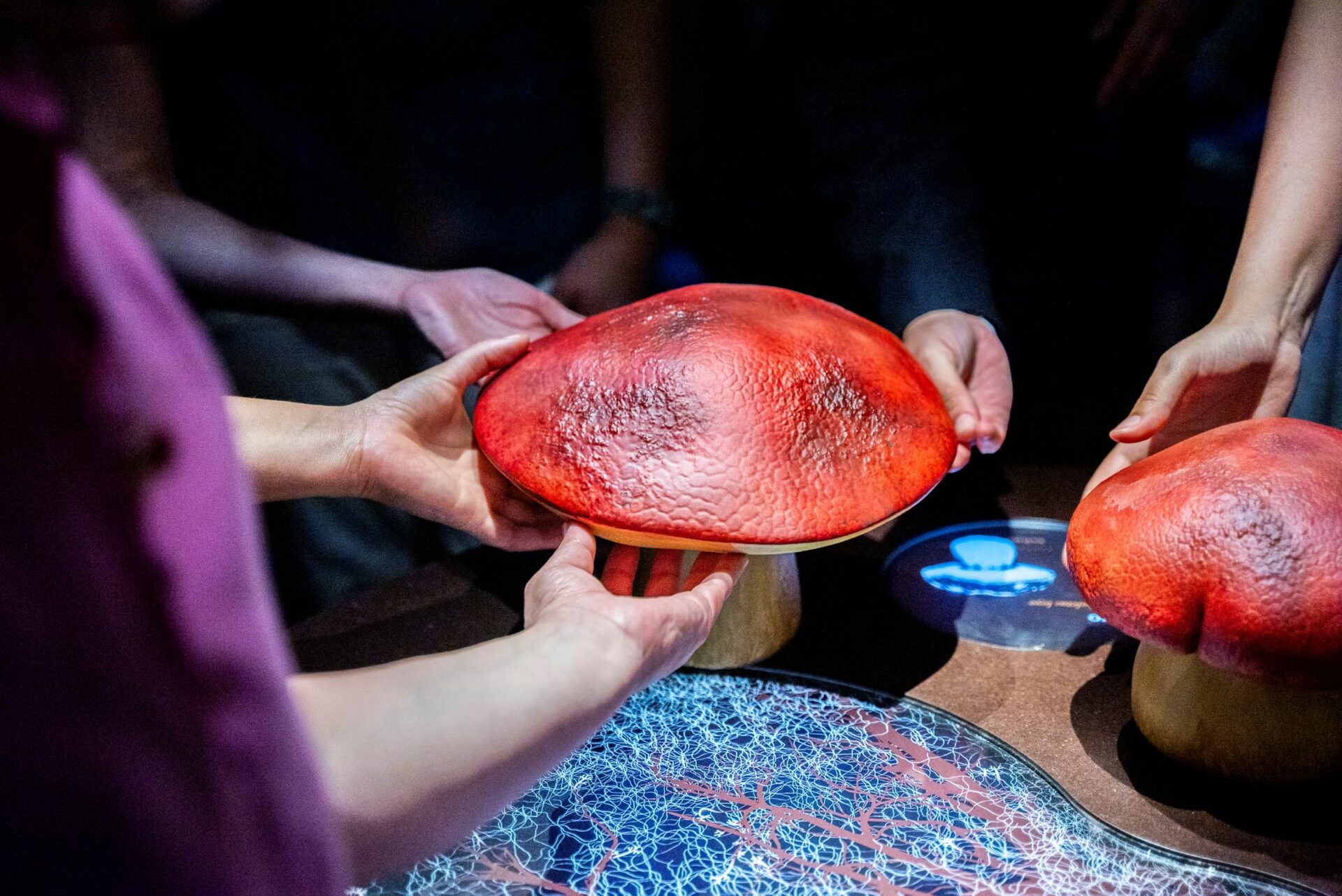 Proyectos especiales — Rabbit Hole